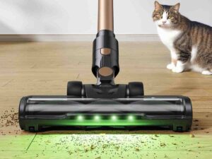 Aspirapolvere e gatti