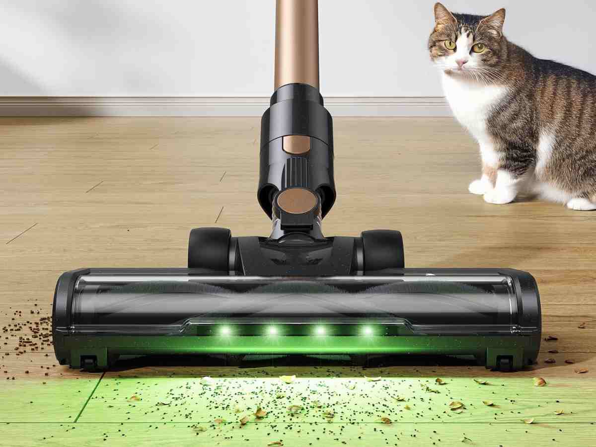 Aspirapolvere e gatti